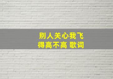 别人关心我飞得高不高 歌词